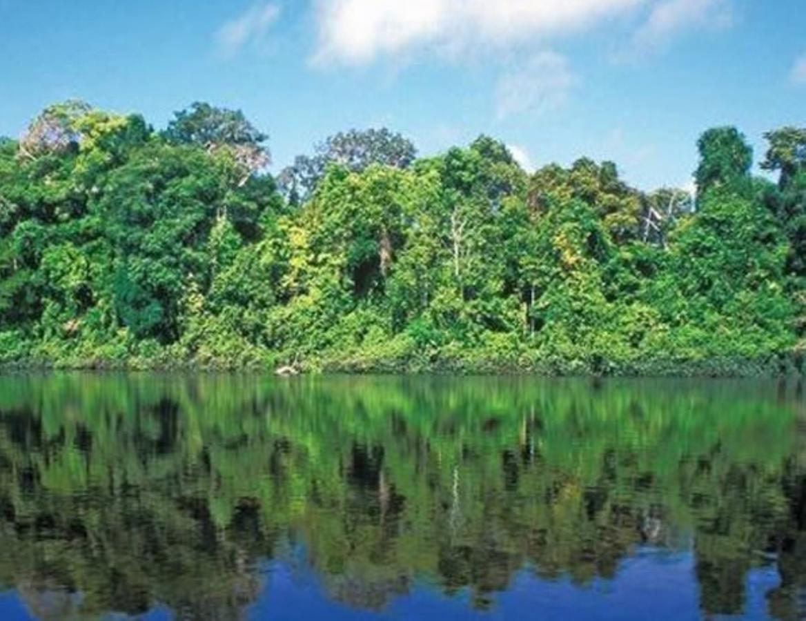 Hotel Vista Al Tortuguero Cariari  Zewnętrze zdjęcie